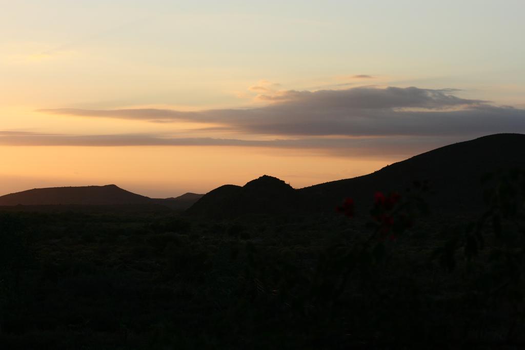 Wolverfontein Karoo Cottages Ladismith Exteriör bild
