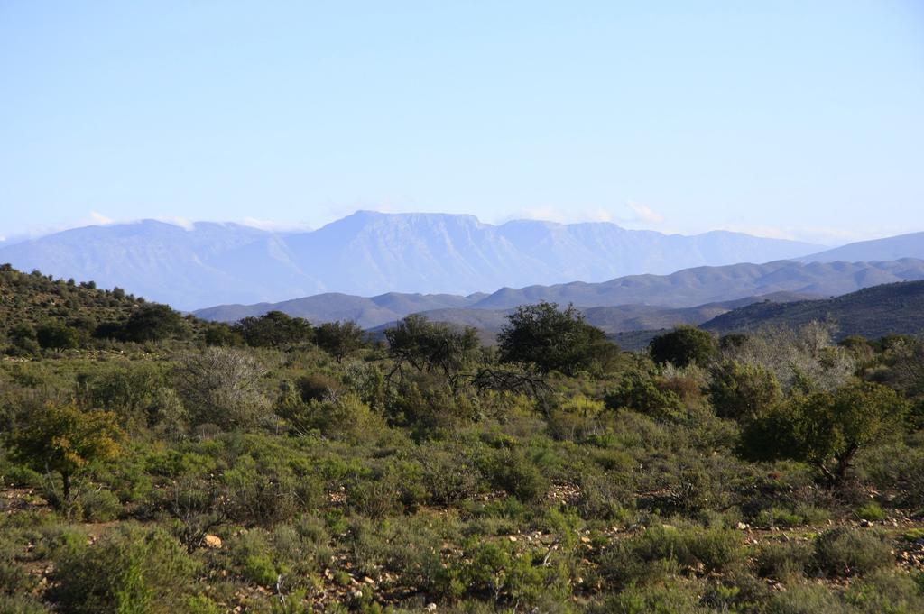 Wolverfontein Karoo Cottages Ladismith Exteriör bild