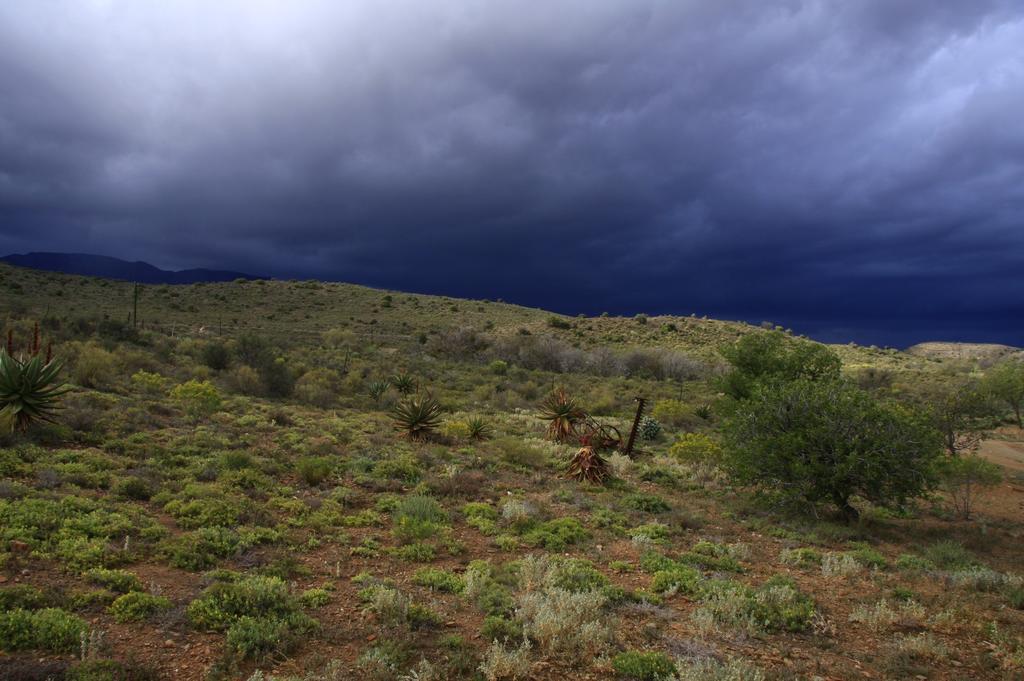 Wolverfontein Karoo Cottages Ladismith Exteriör bild